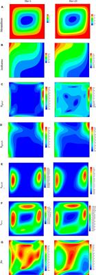 Entropy Optimization and Thermal Behavior of a Porous System With Considering Hybrid Nanofluid